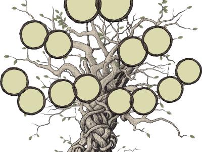 Billedet forestiller et træ uden blade. Der er placeret adskillige cirkler på træet til at illustrere, at det er et slægtstræ.